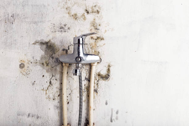 Best Preventive Mold Services in Honsville, GA