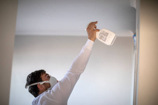 Best Preventive Mold Services in Honsville, GA