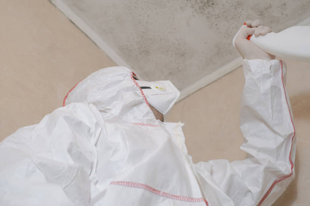 Best Post-Remediation Services in Honsville, GA